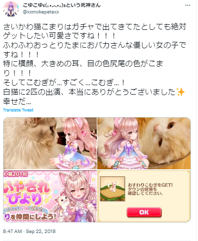 こゆこゆ　活動停止