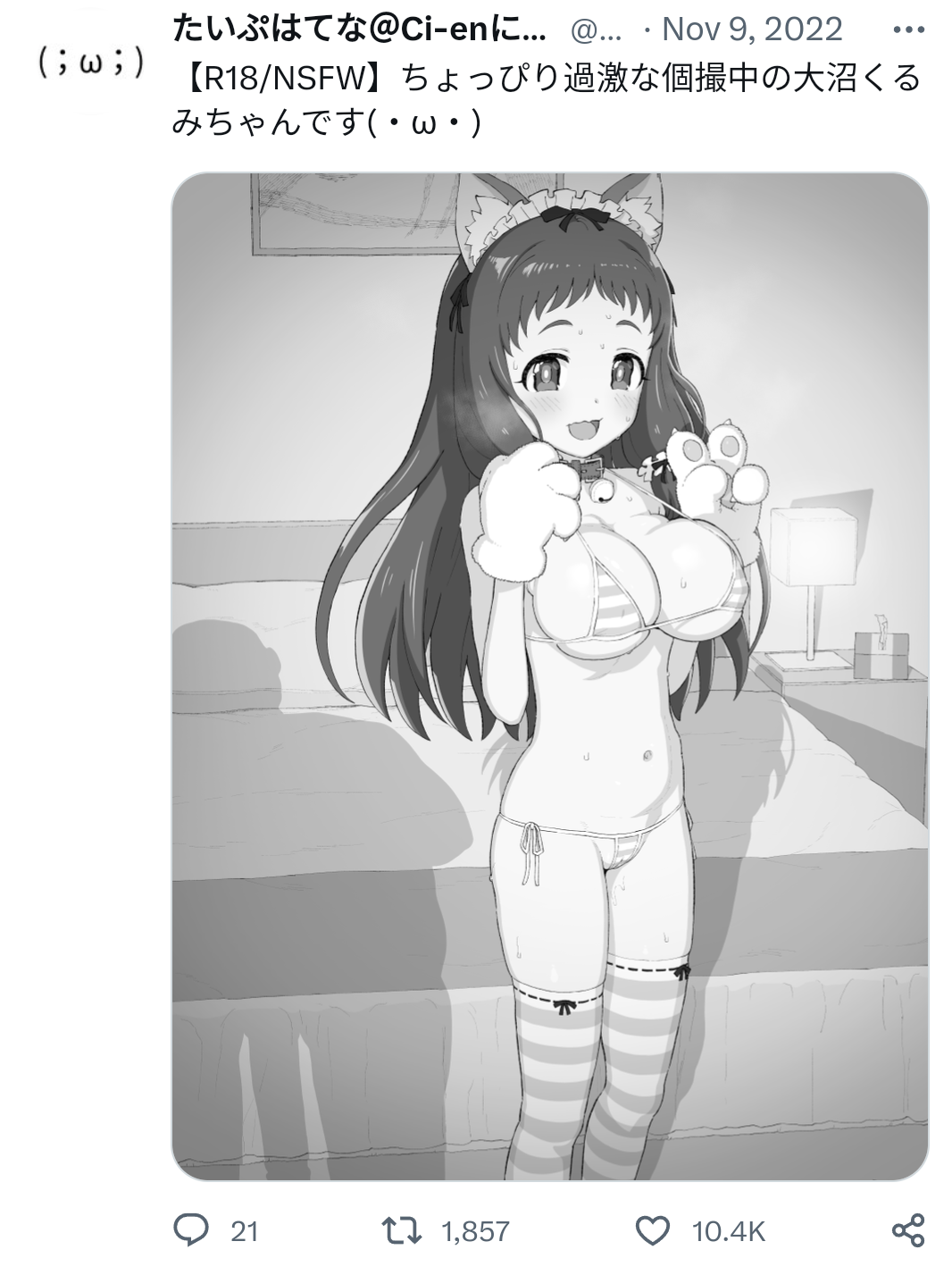 たいぷはてな,イラストレーター