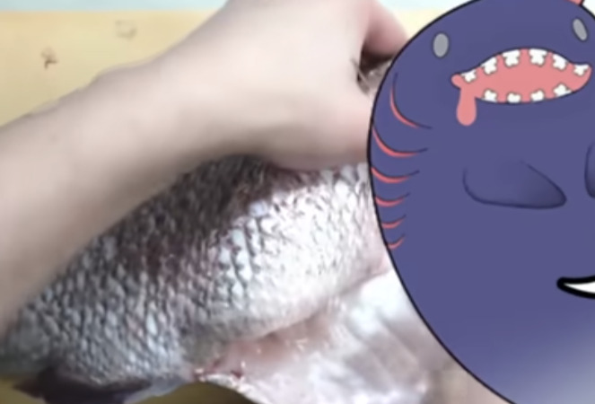 冥海らぶか,魚捌き
