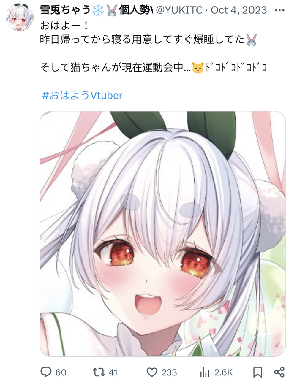 雪兎ちゃう,猫